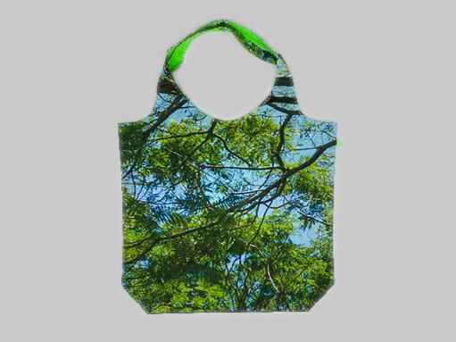 Canopy Bag